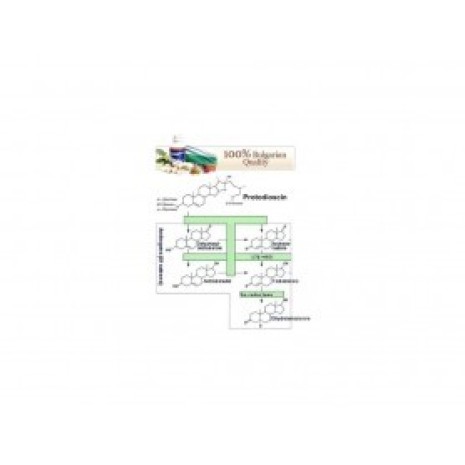 VEMOHERB TRIBULUS TERRESTRIS MAXX 60 Kapsul VEMOHERB